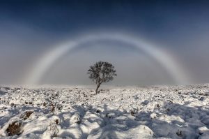stunning pure white rainbow arching over snow and a winter tree